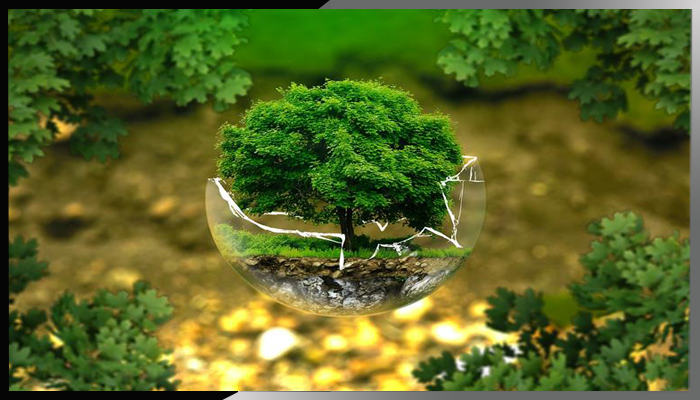 Peer Reviewed International Journals